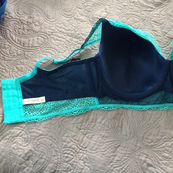 Cacique Longline Balconette Bra. - Picture 7 of 12